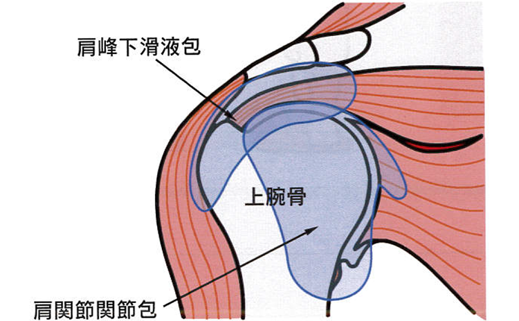 原因・病態1