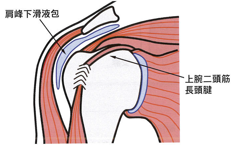 原因・病態2