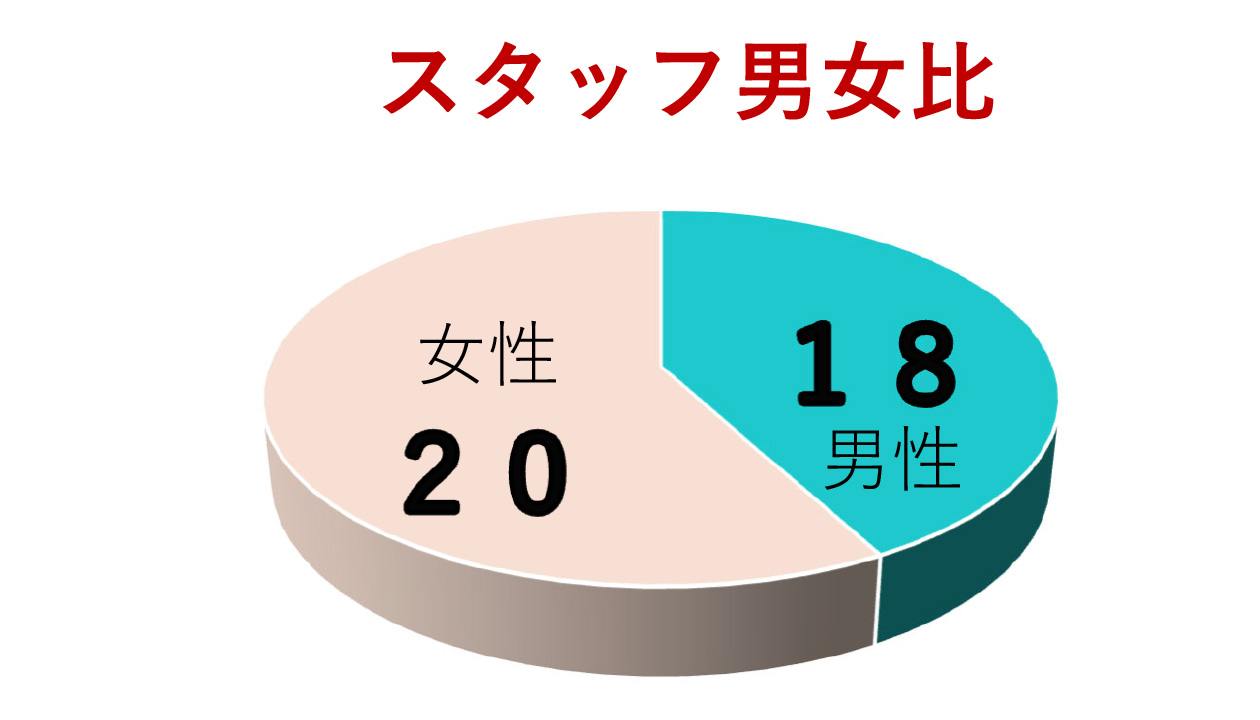 スタッフ男女比
